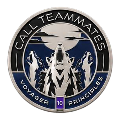 Challenge coin for Call Teammates